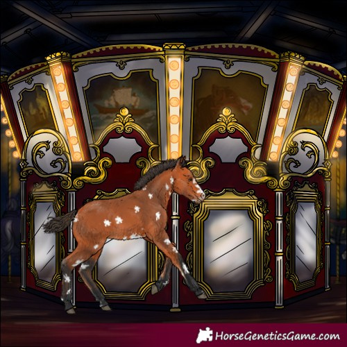 Horse Color:Bay Sabino Frame 