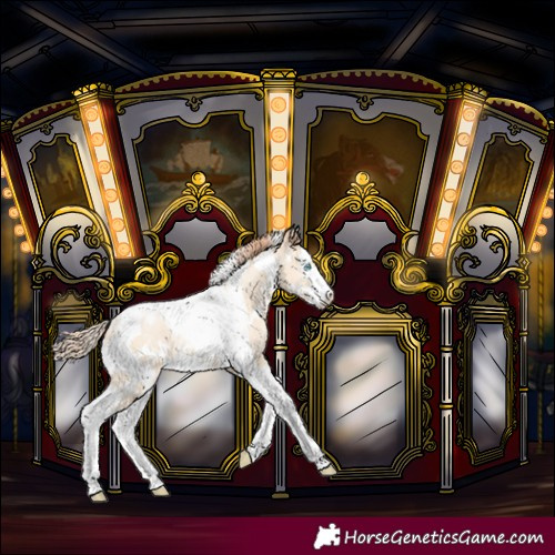 Horse Color:White Spotted Sable Champagne Snowdrop Pearl Splash Tobiano Rabicano