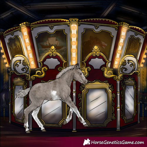 Horse Color:White Spotted Silver Black Splash 