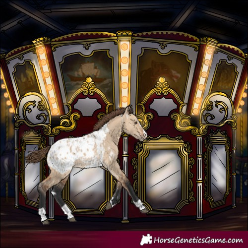 Horse Color:White Spotted Bay Dun Splash Tobiano Blanket Rabicano
