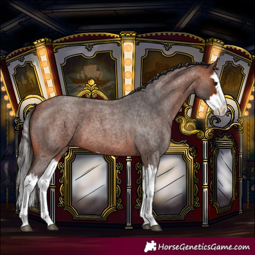 Horse Color:Unknown 