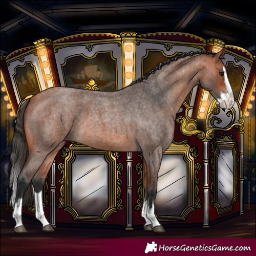 Horse Color:Unknown 