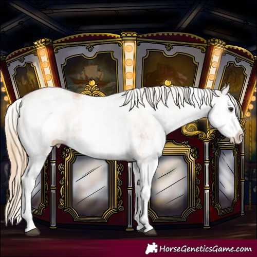 Horse Color:White Spotted Chestnut Splash Rabicano 