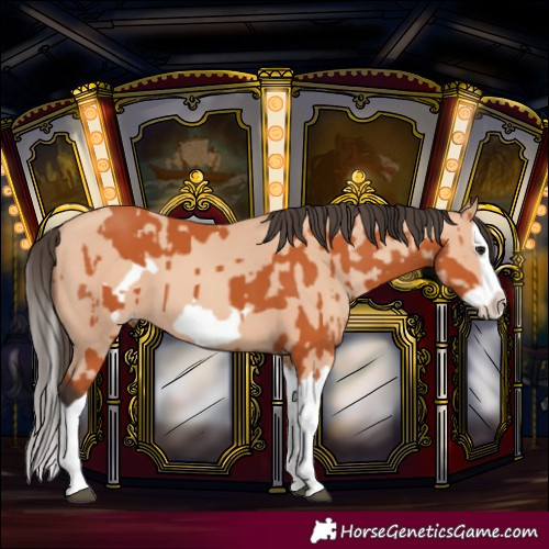 Horse Color:Bay Splash Frame and Amber Champagne Splash Frame