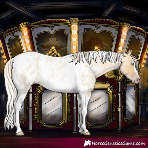 Horse Color:Gray Silver Amber Cream Champagne Roan Dun Splash Tobiano Frame Near Leopard Rabicano 