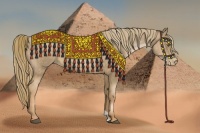 Horse Color:Liver Chestnut Pearl  and Liver Chestnut Pearl 