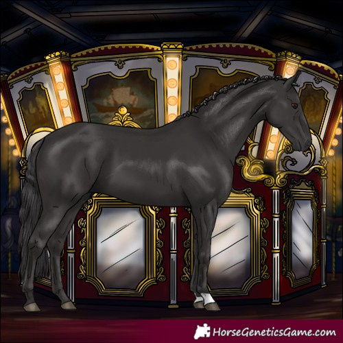 Horse Color:Smoky Black 