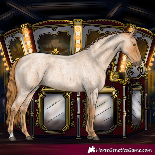 Horse Color:Red Roan