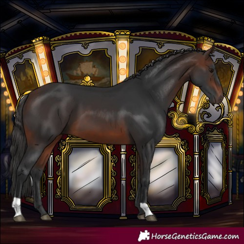 Horse Color:Brown 