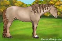 Horse Color:Liver Chestnut Pearl  and Liver Chestnut Pearl 