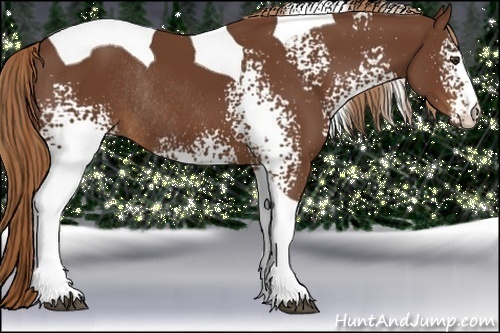 Horse Color:White Spotted Chestnut Tobiano Rabicano
