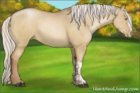 Horse Color:Silver Bay Pearl Dun and Silver Bay Pearl Dun