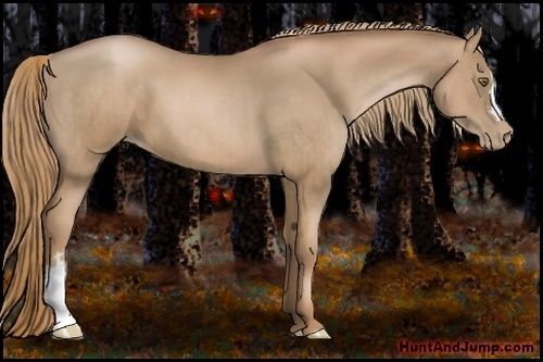 Horse Color:Liver Chestnut Pearl and Liver Chestnut Pearl