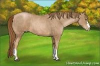Horse Color:Liver Chestnut Pearl  Brindle