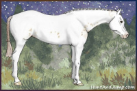 Horse Color:Red Dun Splash Tobiano Blanket