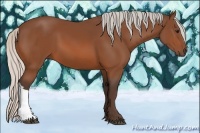 Horse Color:Silver Bay 