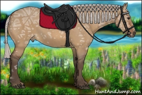 Horse Color:Silver Bay Ice Roan Dun 