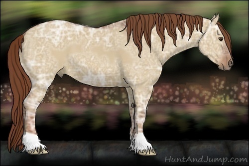 Horse Color:Red Dun Ice 