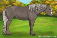 Horse Color:Silver Black 