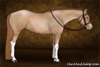 Horse Color:Liver Chestnut Pearl  and Liver Chestnut Pearl 