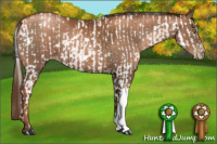Horse Color:Gray Liver Chestnut Pearl  and Gray Liver Chestnut Pearl 