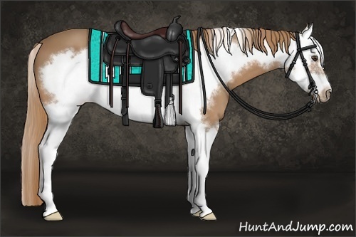Horse Color:Chestnut Splash Frame