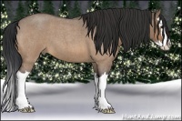 Horse Color:Bay Roan Dun Splash