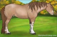 Horse Color:Bay Pearl  and Bay Pearl 