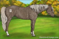 Horse Color:Silver Grullo  and Silver Black 