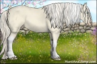 Horse Color:Cremello Dun Tobiano and Cremello Dun Tobiano