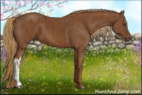 Horse Color:Chestnut and Chestnut