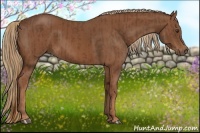 Horse Color:Chestnut  and Chestnut 
