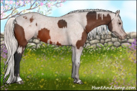 Horse Color:Bay Appaloosa  and Silver Bay Appaloosa 