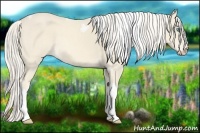 Horse Color:Cremello Tobiano and Cremello Tobiano Frame