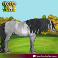 Horse Color:Sable Champagne Chinchilla Dun Splash Brindle  and Sable Champagne Chinchilla Dun Brindle 