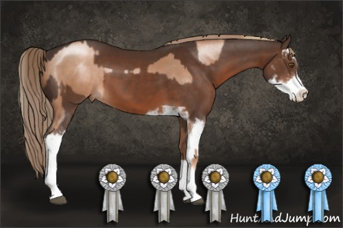 Horse Color:Liver Chestnut Pearl Sabino  and Liver Chestnut Sabino 