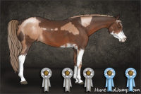 Horse Color:Liver Chestnut Pearl Sabino and Liver Chestnut Sabino