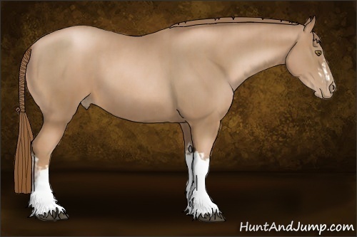 Horse Color:Liver Chestnut Pearl  and Liver Chestnut Pearl 