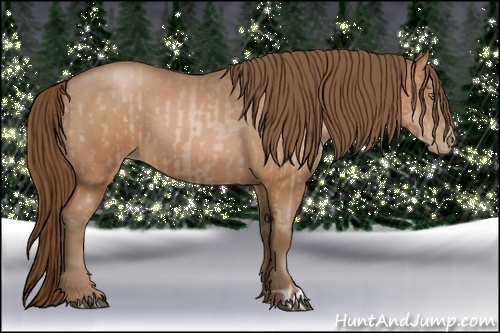 Horse Color:Bay Pearl  and Bay Pearl 