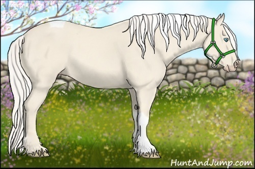 Horse Color:Cremello Tobiano