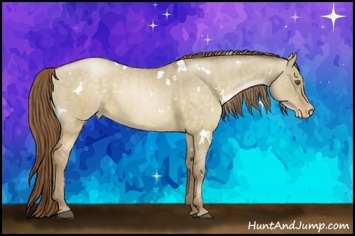Horse Color:White Spotted Brown Pearl Dun  Brindle