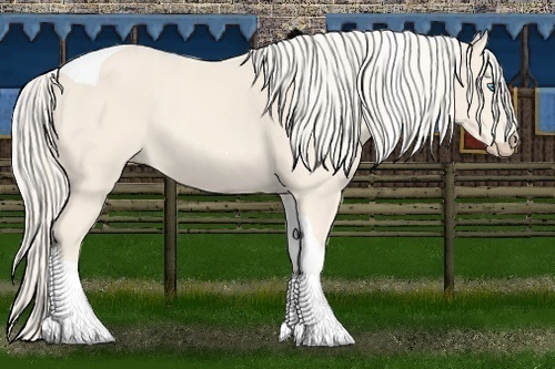 Horse Color:Cremello Tobiano