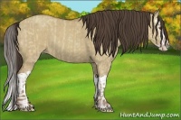 Horse Color:Classic Champagne Dun  and Classic Champagne Dun Splash 