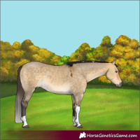 Horse Color:Buckskin Dun Mushroom Tobiano 