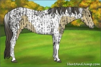 Horse Color:Smoky Black Tobiano  and Buckskin Tobiano 