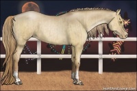 Horse Color:Liver Red Dun Pearl  and Liver Red Dun Pearl 