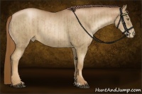 Horse Color:Liver Chestnut Pearl  and Liver Chestnut Pearl 