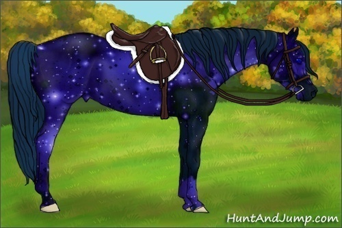 Horse Color:ERROR: UNKNOWN ANOMALY and ERROR: UNKNOWN ANOMALY