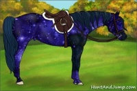Horse Color:ERROR: UNKNOWN ANOMALY and ERROR: UNKNOWN ANOMALY