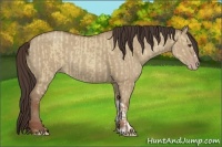 Horse Color:Classic Champagne Dun and Classic Champagne Dun